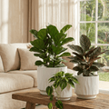 3 - Piece White Stoneware Planter Pot Set with Embossed Texture - HearthHub
