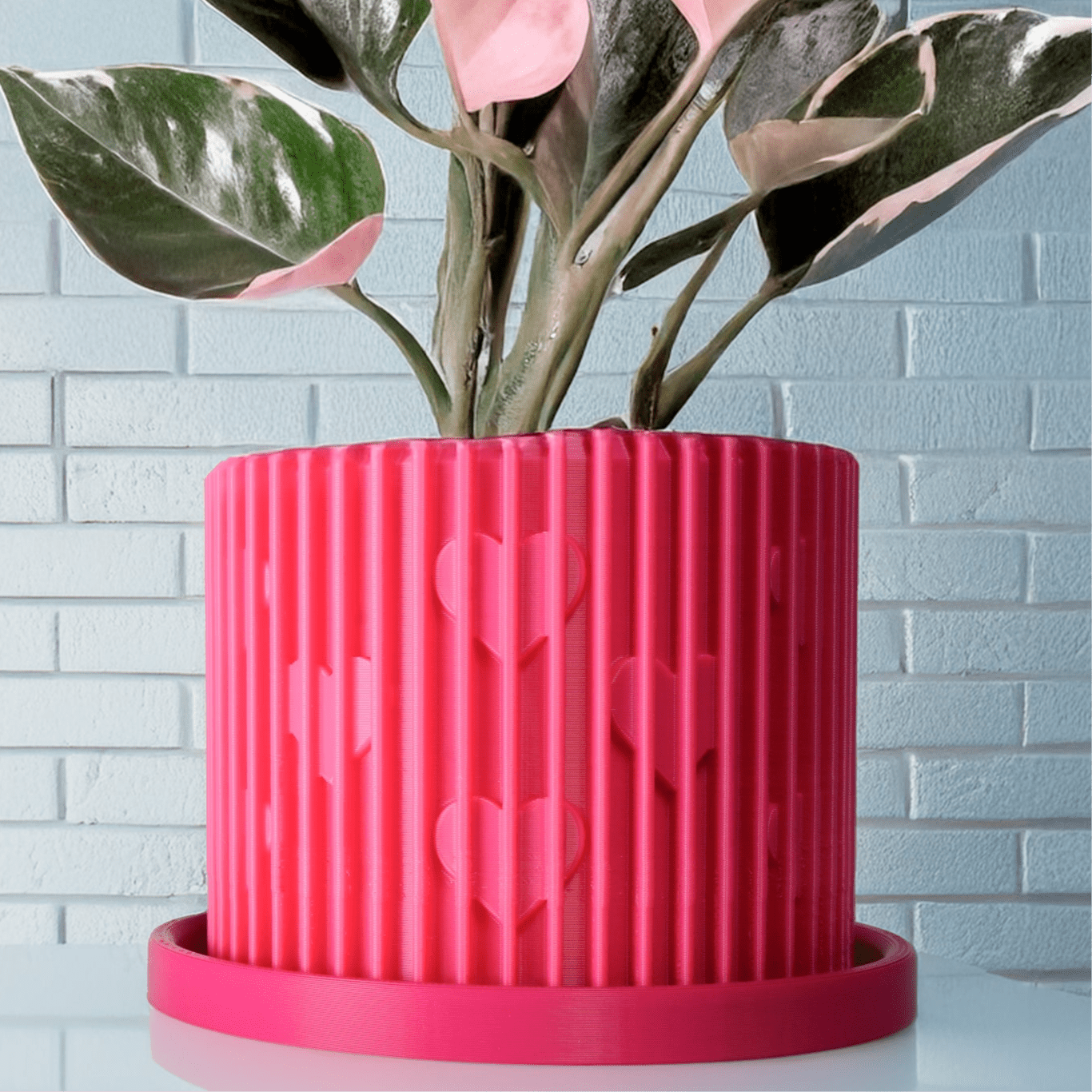 Modern Heart - Shaped Planter with Drainage & Saucer – Unique Valentine’s Day Gift for Plant Lovers, 3d Printed Planter Home Hosting Decor, - HearthHub