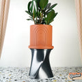 Aura Plant Stand - HearthHub