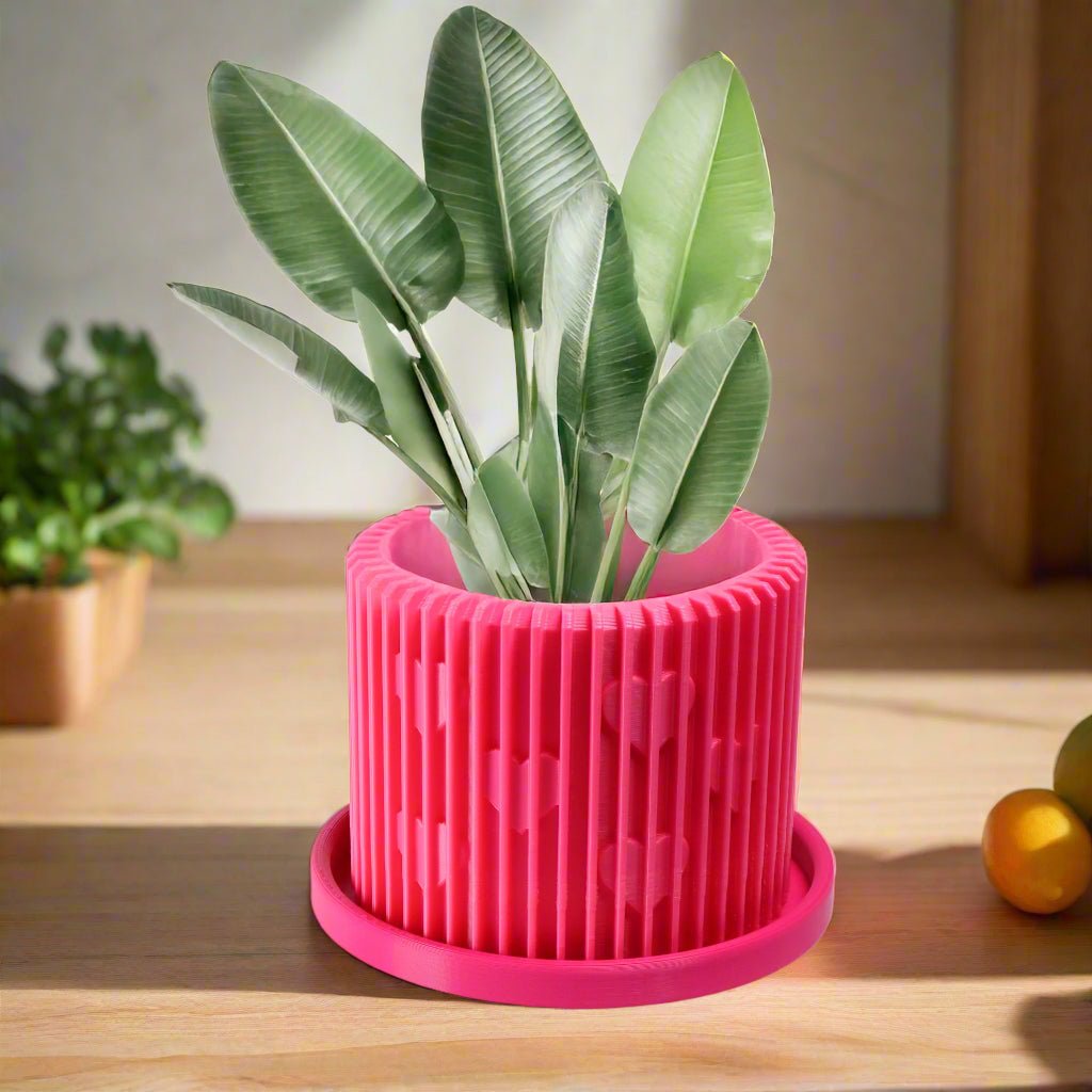 Modern Heart - Shaped Planter with Drainage & Saucer – Unique Valentine’s Day Gift for Plant Lovers, 3d Printed Planter Home Hosting Decor, - HearthHub