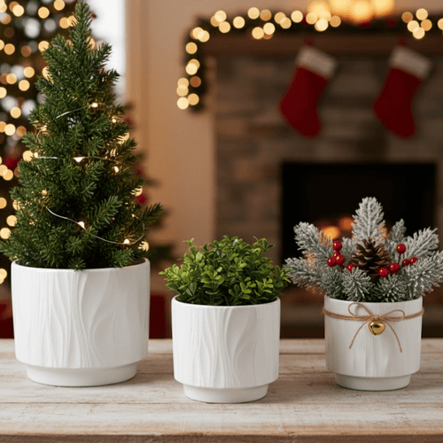 3 - Piece White Stoneware Planter Pot Set with Embossed Texture - HearthHub