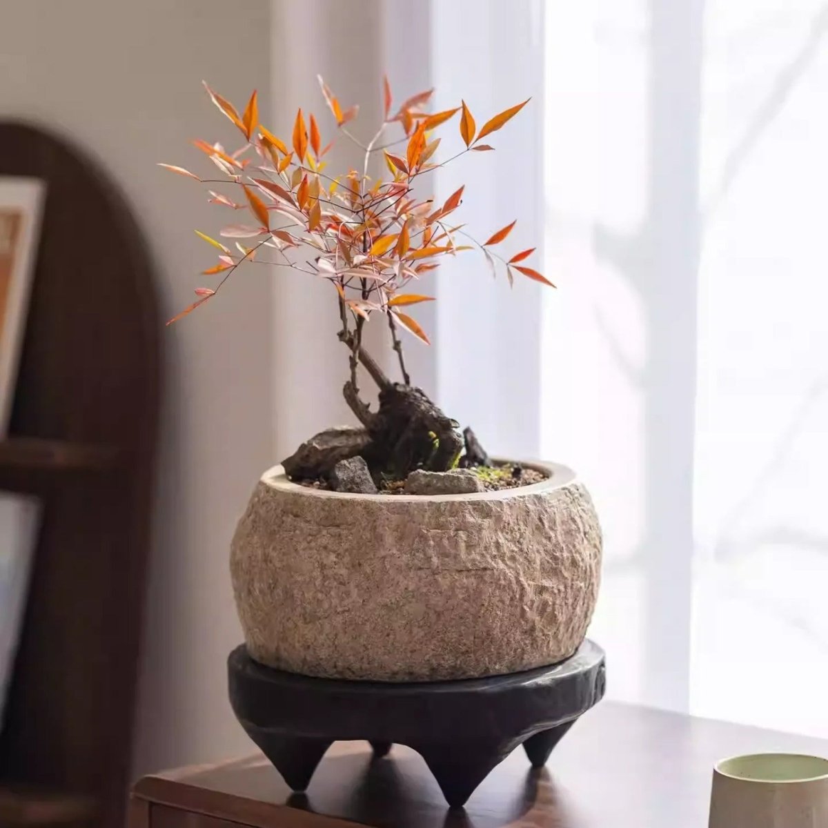Mesa Cement Pot Planter - HearthHub