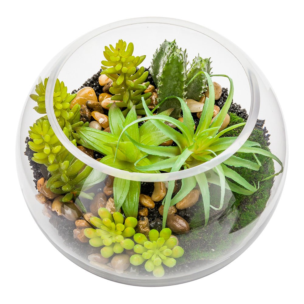 Plastic Table Art Faux Succulent Arrangement - Fishbowl Glass Terrarium - 7" x 7" x 5 1/2" - 1 count box - HearthHub