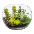Plastic Table Art Faux Succulent Arrangement - Fishbowl Glass Terrarium - 7" x 7" x 5 1/2" - 1 count box - HearthHub