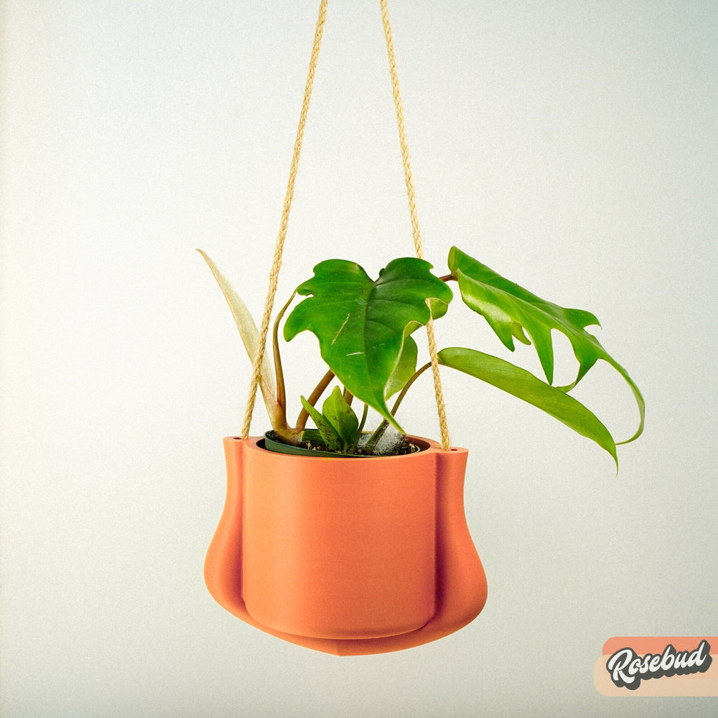 Hanging Planter - The Elysian - HearthHub