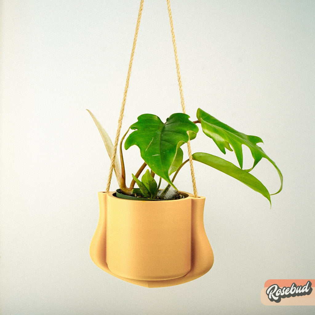 Hanging Planter - The Elysian - HearthHub