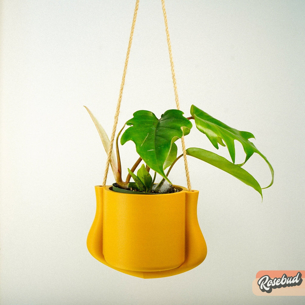 Hanging Planter - The Elysian - HearthHub